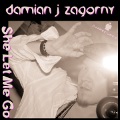 Damian J Zagorny